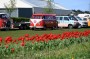 Thumbs/tn_Bollenrit Team Bollenstreek 017.jpg